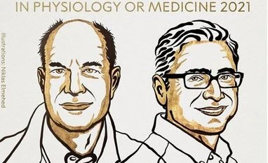 Nobel Prize in medicine for discovery of temperature, touch receptors Noble Prize medicine