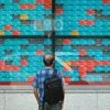 stocks, stock market