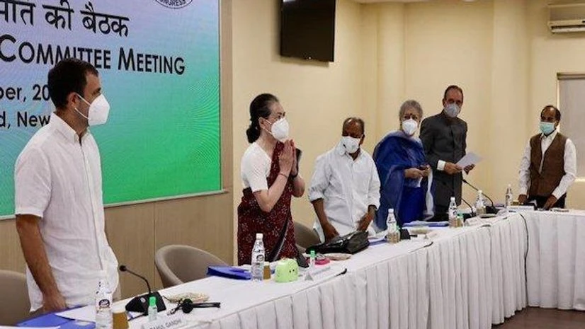 sonia gandhi, rahul gandhi, cwc meet sonia gandhi, rahul gandhi, cwc meet