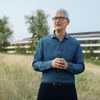 tim cook
