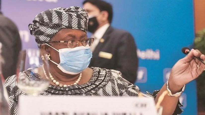 WTO D-G Director-General of WTO Ngozi Okonjo-Iweala during a meeting in New Delhi. (Photo: PTI)