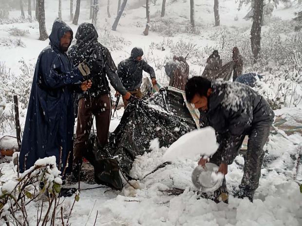Kashmir: Apple orchards suffer extensive damage as snowfall, rains hit life