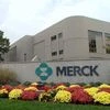 Merck