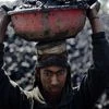 Coal labourer, Bloomberg