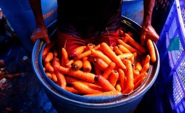 Maharashtra's Kavalapur cultivates carrots on 450 acres every year carrots