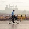 A man rides a bicycle in front of the historic Red Fort, shrouded in smog post Diwali celebrations in New Delhi (Photo: PTI)
