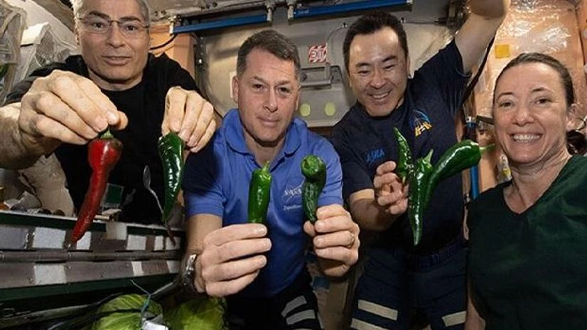 SpaceX ISS crew SpaceX ISS crew