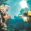 underwater robots