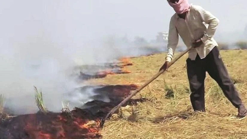 Stubble Burning Stubble Burning
