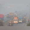 Lahore, air pollution Vehicles move amid dense smog in Lahore (Photo: Reuters)