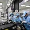 Dixon rises 4% on camera module foray; brokerages decode stock strategy