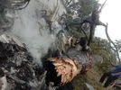 iaf crash Photo: ANI