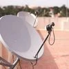 DD Freedish