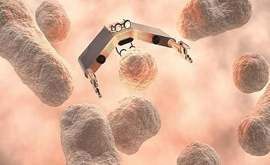 The possibilities as the first 'living robots' reproduce xenobot