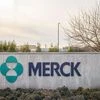 merck, uk covid cases