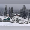 Kashmir