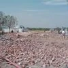 Doubts on Sivakasi cracker unit safety rise as 3 more die in latest mishap