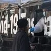 'Deltacron' a lab contamination, not a new variant, says UK virologist