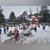 shimla Tourists during snowfall at Jakhu in Shimla (Photo: PTI)