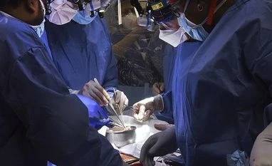 In a medical first, US surgeons transplant pig heart into human patient pig heart transplant, surgery, medical, health