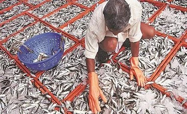 'Guest worker' conundrum: Kerala is facing its own migrant labour crisis migrant workers