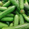 India emerges as largest exporters of cucumber, gherkins in the world