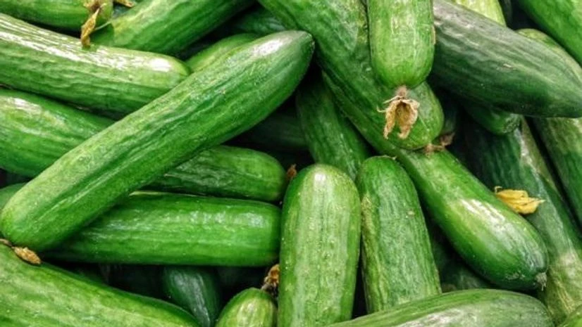 cucumbers cucumbers