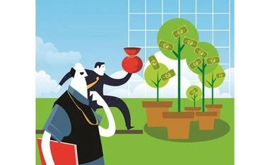 Equity MFs garner Rs 14,889 cr inflows in Jan amid volatility, FPI selloff Illustration