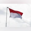Indonesia flag Photo by Mufid Majnun on Unsplash