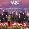 G20