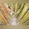 Punjab CM Mann hikes sugarcane price by Rs 11 per quintal to Rs 391 sugarcane