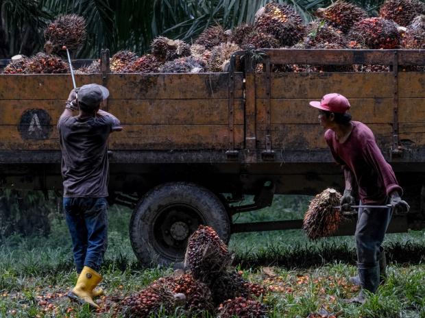 Food inflation risks balloon as prices of wheat to palm oil soar