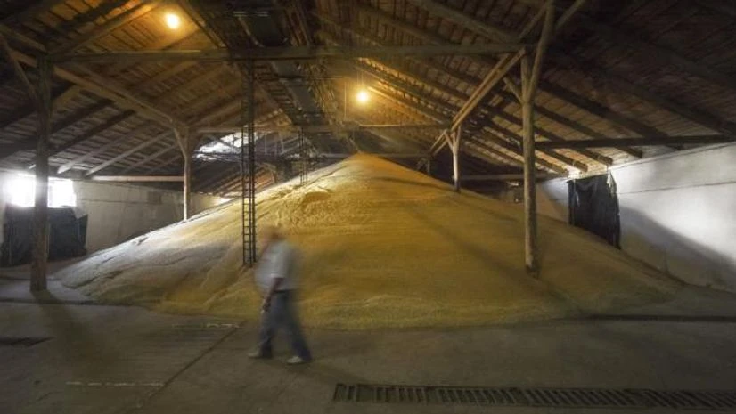 wheat Photo: Bloomberg