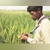 Agri credit crosses Rs 20 trn till Jan in FY24, sharp jump from 2013-14 farmers, agriculture