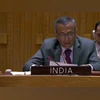 Sent 38 tons of humanitarian goods to Palestinian people: India at UNSC India at UNSC