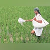 GNFC Q4 results: Profit jumps 62% to Rs 211 cr, revenue marginally down Fertiliser