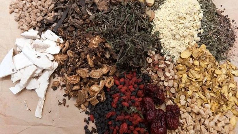 traditional medicine traditional medicine