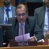 Unequivocally condemn Bucha killings, support call for probe: India at UNSC
