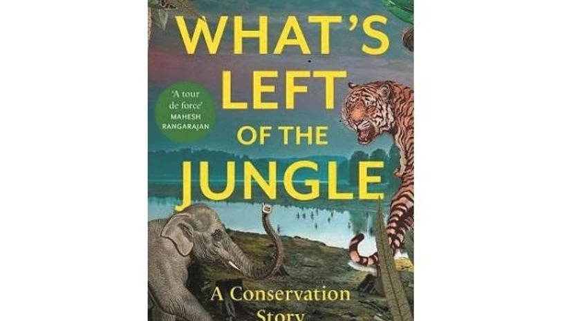 Nitin Sekar Nitin Sekar