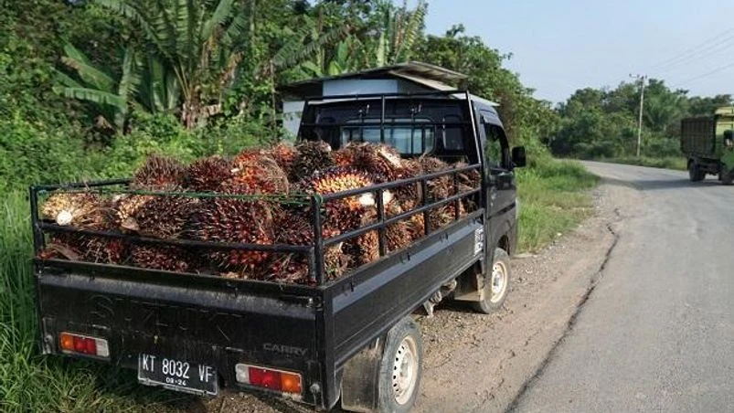 Palm Oil Photo: Bloomberg