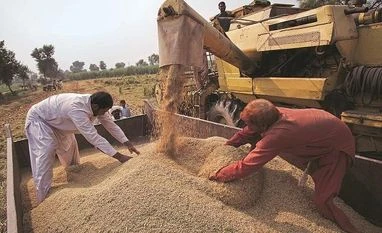 Wheat prices may come down by Rs 5-6/kg: Flour millers on govt's move wheat