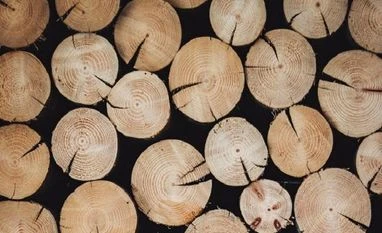 Andhra Pradesh govt struggling for means to fight red sanders smuggling wooden log