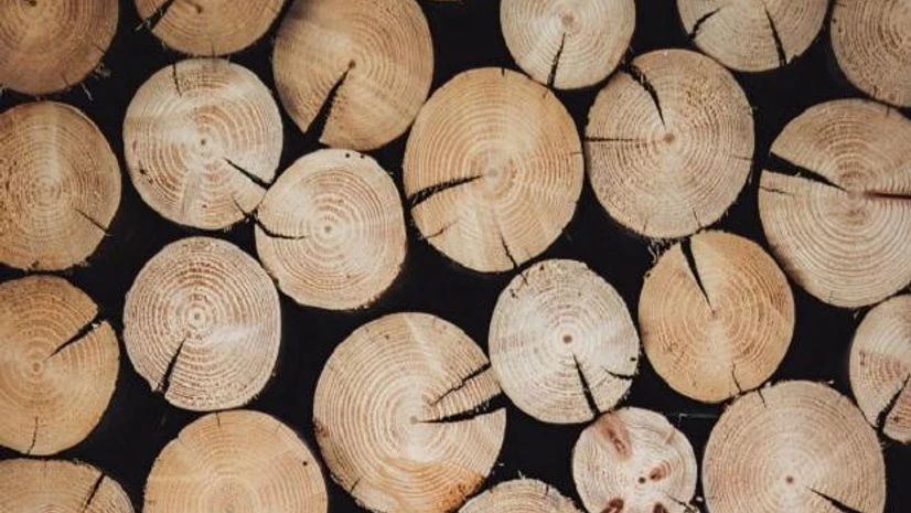 wooden log Representative image