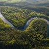 Brazil amazon rainforest