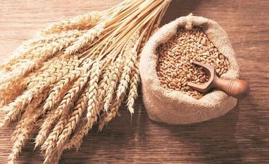 Wheat markets still on the edge a fortnight after govt's export ban chart