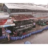 Sri Lanka