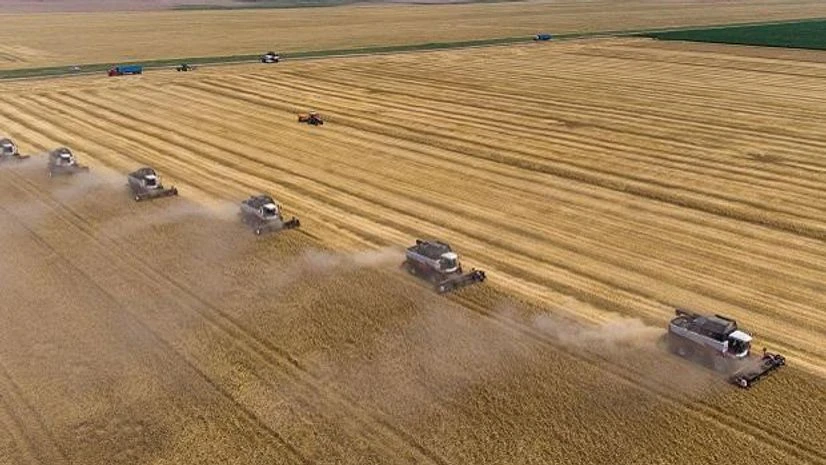 Over 1,150 bidders participated in 1st week of e-auction of wheat by FCI Over 1,150 bidders participated in 1st week of e-auction of wheat by FCI