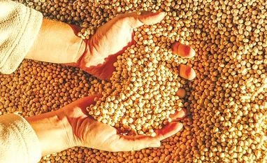 SOPA demands Centre to immediately curb illegal import of GM soyabean soyabean
