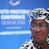 Ngozi Okonjo-Iweala, WTO