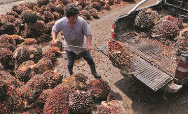 Malaysian firms forgoing billions in sales amid migrant labour shortage Malaysia labour shortage